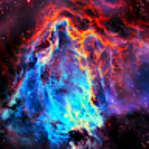 Meet your Posher, Shayla